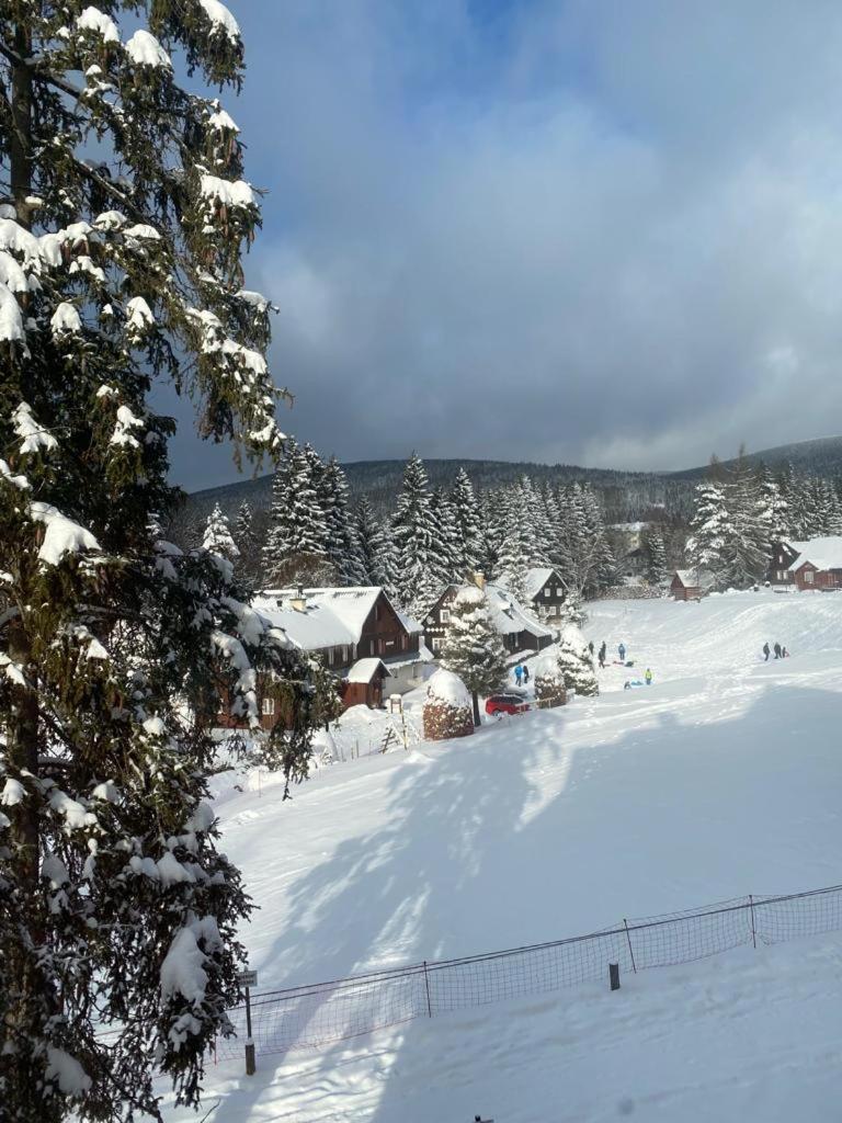Spirit Harrachov Superior Wellness Apartments - Free Wellness, Wifi, Parking, Harrachov Card Экстерьер фото