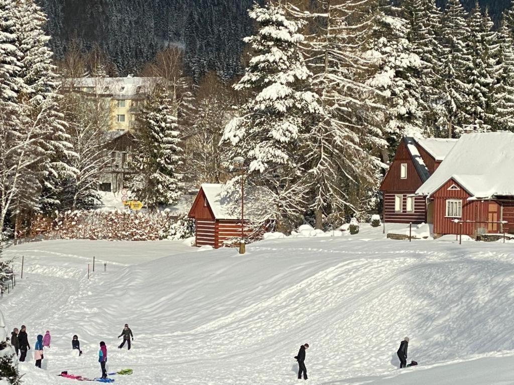 Spirit Harrachov Superior Wellness Apartments - Free Wellness, Wifi, Parking, Harrachov Card Экстерьер фото
